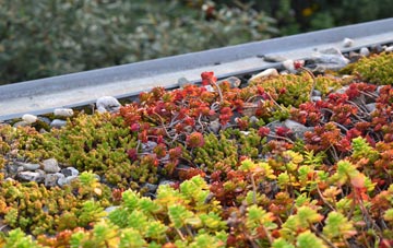 the cost of Dinorwic green roof installation