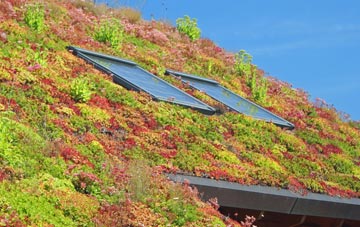 Dinorwic living roof systems