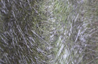 Dinorwic fibreglass roof work